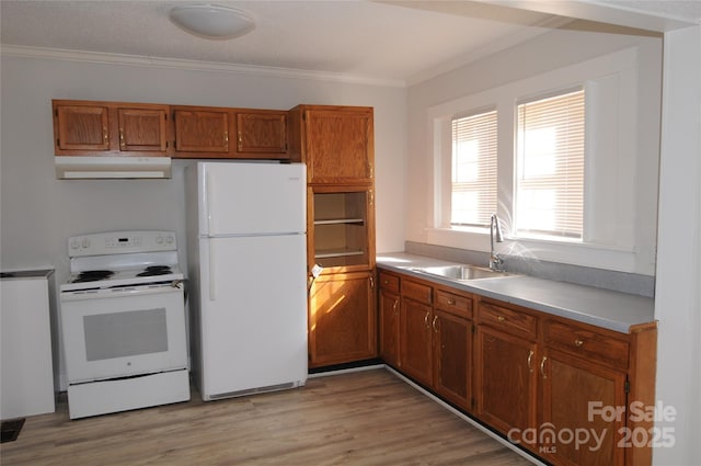 kitchen featuring ornamental molding, sink, light hardwood / wood-style flooring, and white appliances