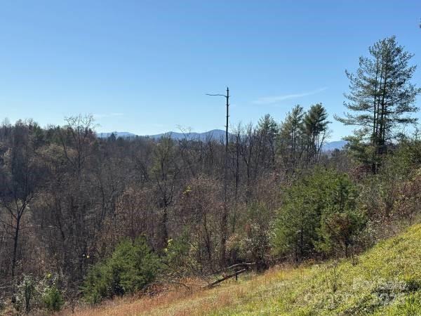 TBD Big Rocky Top Dr, Weaverville NC, 28787 land for sale