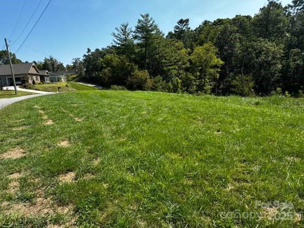 Listing photo 2 for TBD Big Rocky Top Dr, Weaverville NC 28787