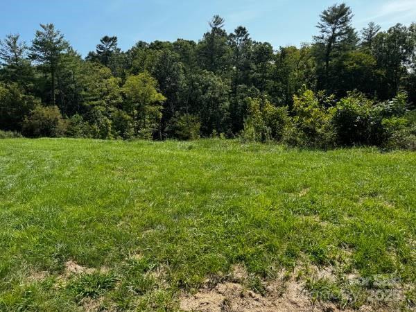 Listing photo 3 for TBD Big Rocky Top Dr, Weaverville NC 28787