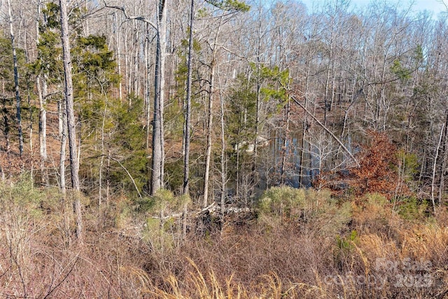 view of landscape