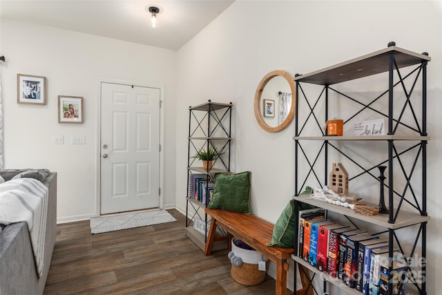 entryway with dark hardwood / wood-style floors