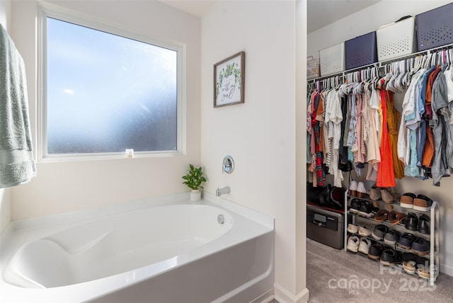 bathroom with a bathing tub