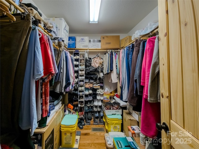 spacious closet featuring wood-type flooring