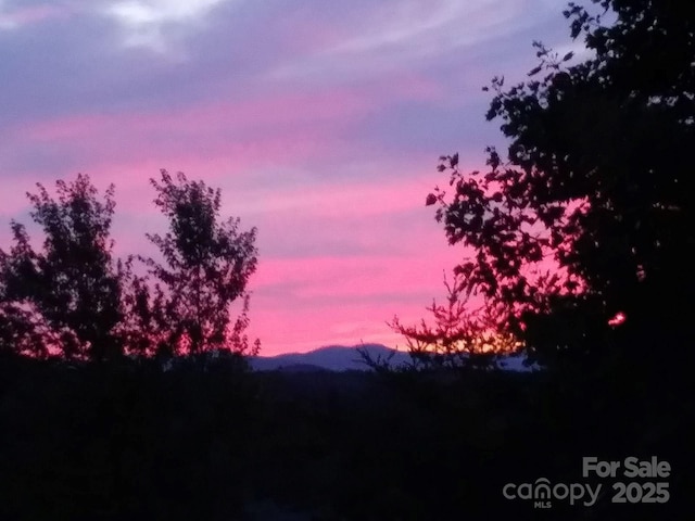 view of nature at dusk