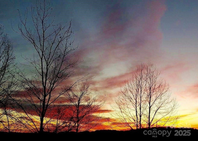 view of nature at dusk