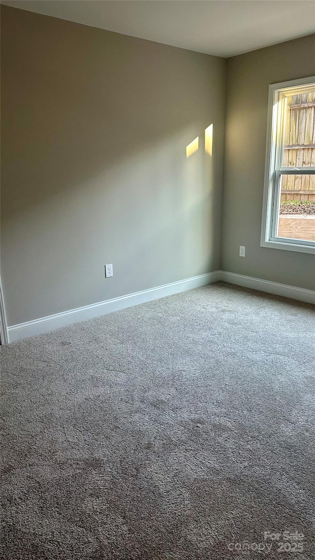 empty room featuring carpet