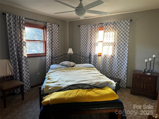 carpeted bedroom with ceiling fan and multiple windows