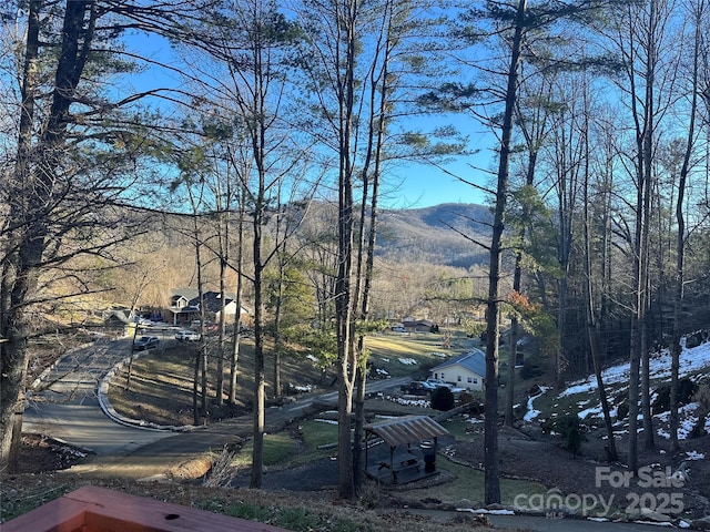 view of road featuring a mountain view