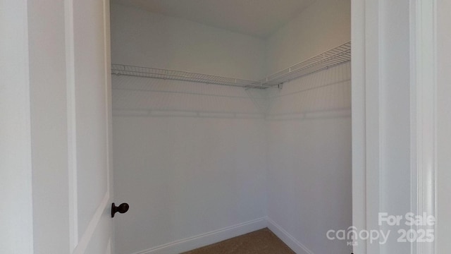 view of spacious closet