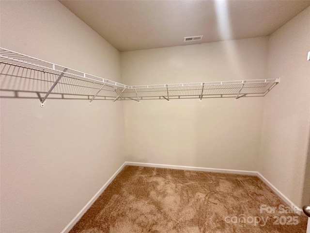 spacious closet featuring carpet floors