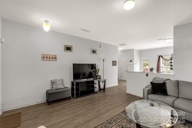 living room with wood-type flooring