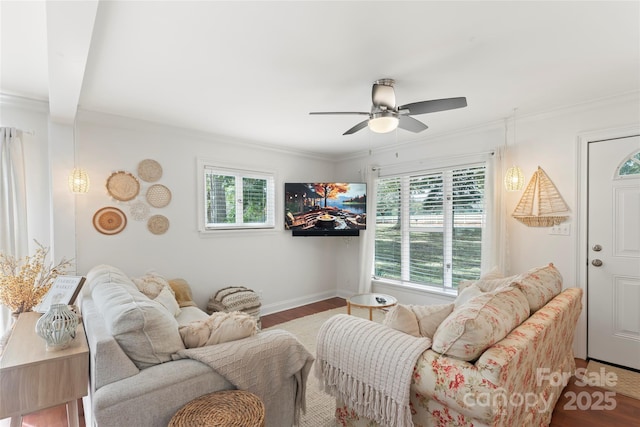 living room with ceiling fan, hardwood / wood-style floors, and ornamental molding