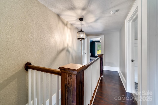 hallway featuring dark hardwood / wood-style flooring