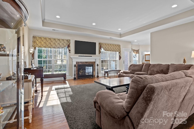 living room with a tray ceiling, light wood-type flooring, and a healthy amount of sunlight