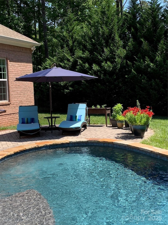 view of swimming pool featuring a patio