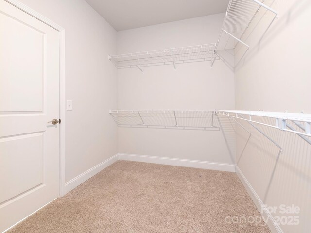 spacious closet with carpet