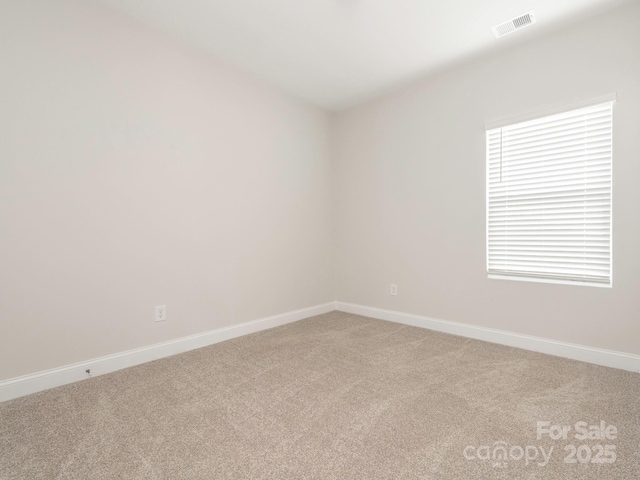 empty room featuring a wealth of natural light and carpet floors