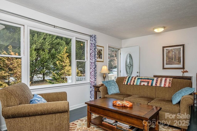 living room with a wealth of natural light, a textured ceiling, and hardwood / wood-style flooring