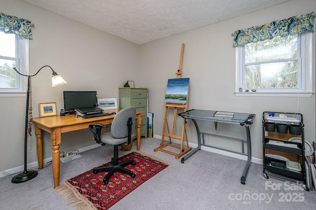 home office with carpet floors and a textured ceiling