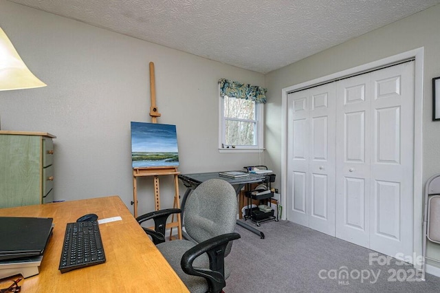 office area with a textured ceiling and carpet flooring