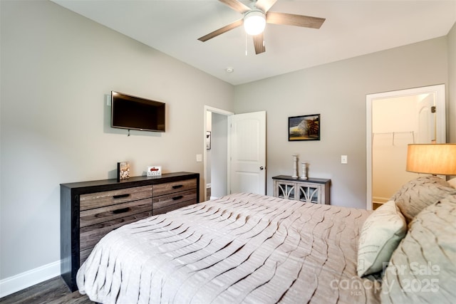 bedroom with ceiling fan, dark hardwood / wood-style flooring, a closet, and a walk in closet