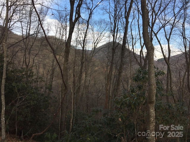 Listing photo 2 for 00 Triple Creek Dr, Clyde NC 28721