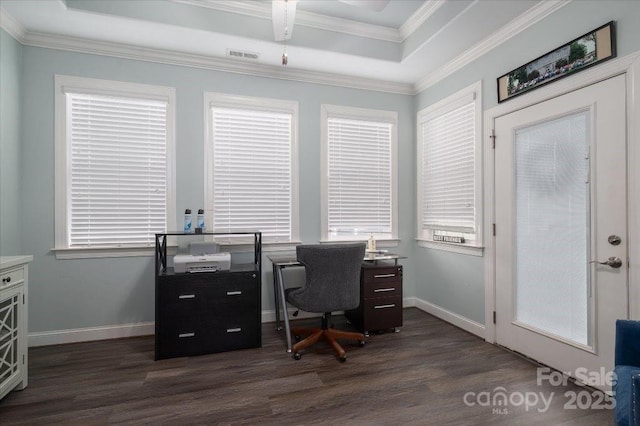 office featuring dark hardwood / wood-style floors and a raised ceiling