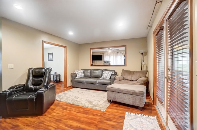 living room featuring wood finished floors