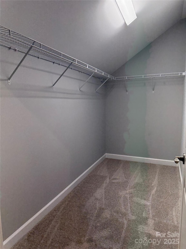 walk in closet featuring vaulted ceiling and carpet flooring