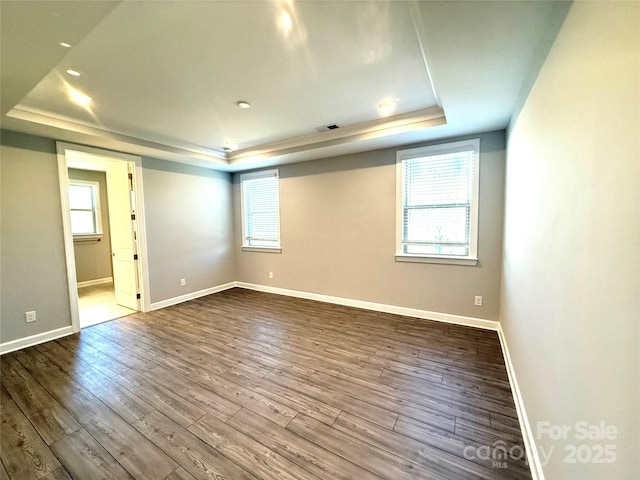 spare room featuring plenty of natural light, a raised ceiling, and dark wood-type flooring