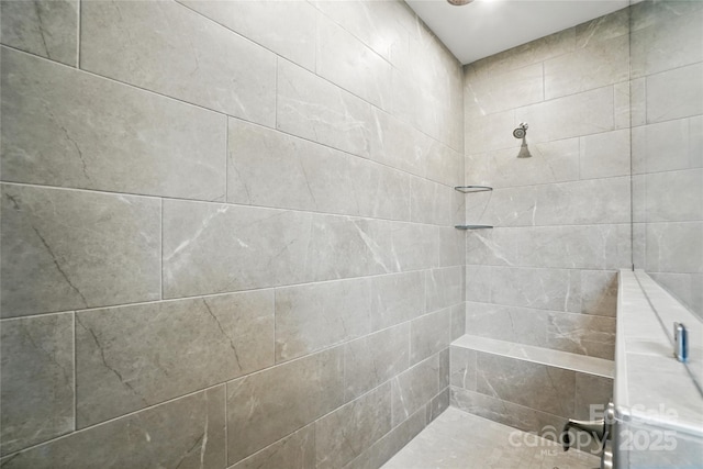 9657 Liberty Hill Dr, Mint Hill, NC 28227 - bathroom with a tile shower