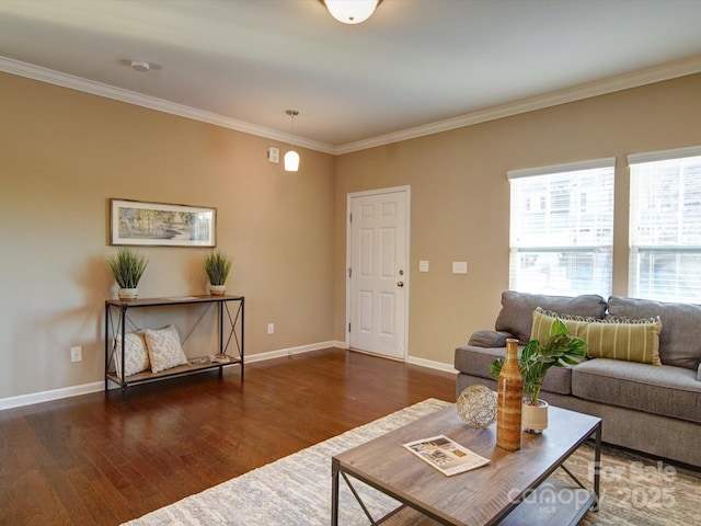 living room featuring ornamental molding and dark hardwood / wood-style flooring