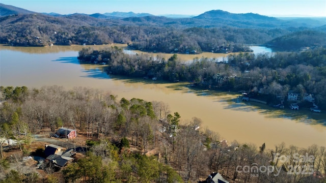 birds eye view of property with a water and mountain view