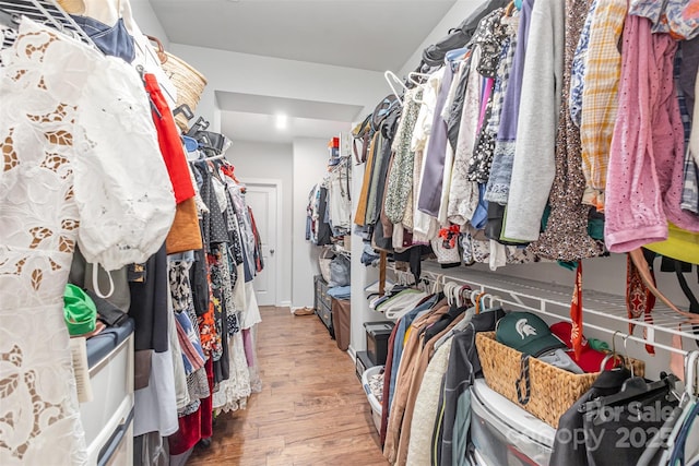 spacious closet featuring hardwood / wood-style flooring