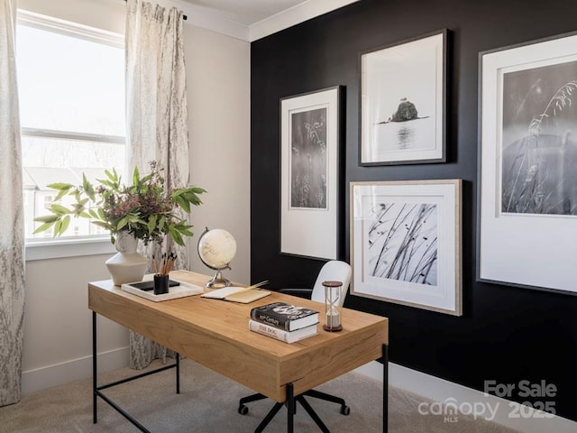 carpeted office space featuring crown molding