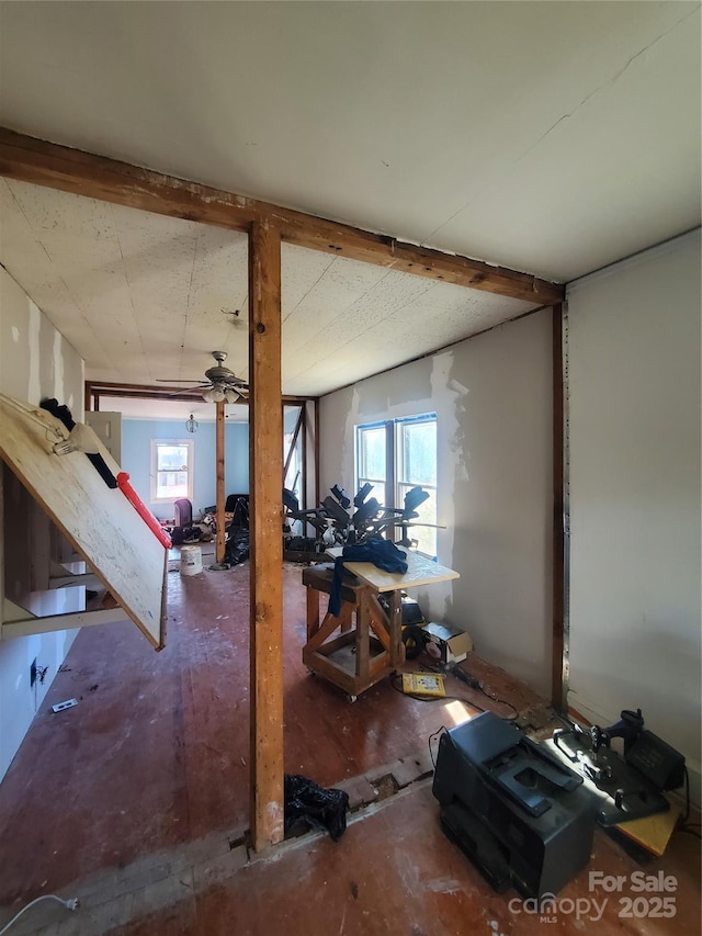 interior space with ceiling fan and plenty of natural light