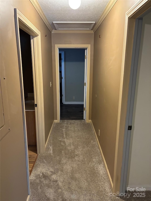 corridor with a textured ceiling, carpet, and ornamental molding