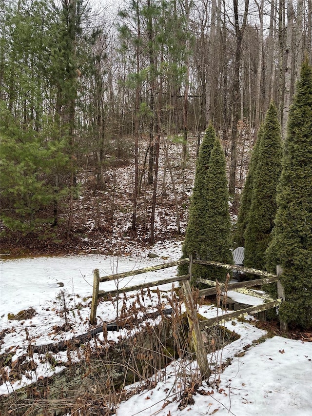 view of snowy yard