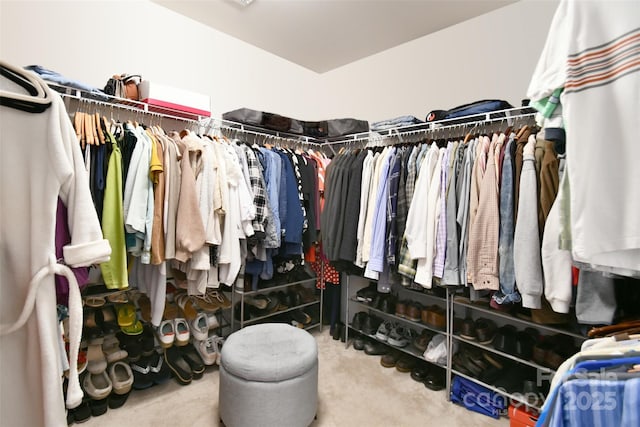 spacious closet with carpet