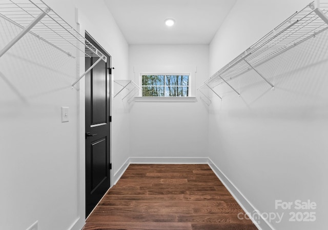 spacious closet featuring dark hardwood / wood-style floors