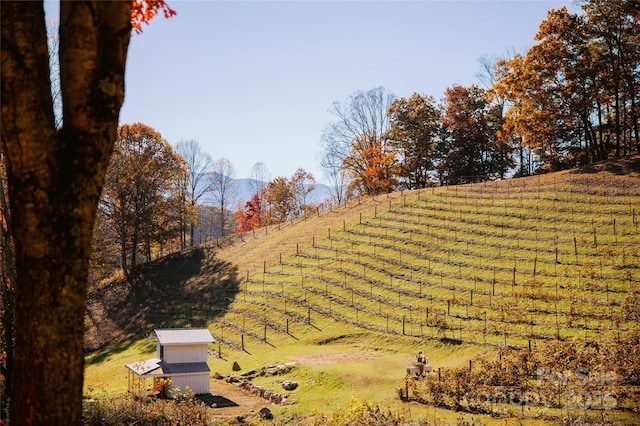 view of yard featuring a rural view