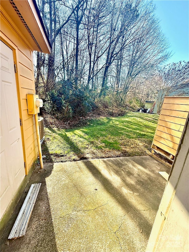 view of yard featuring a patio area