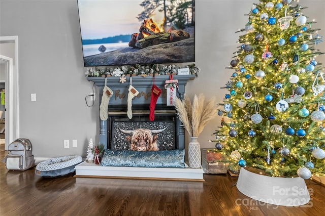 room details with hardwood / wood-style flooring