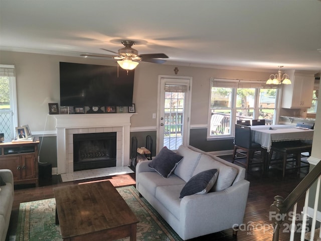 living area featuring crown molding, a tiled fireplace, a wealth of natural light, and wood finished floors