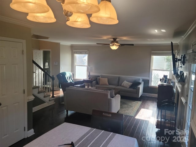 living room featuring dark wood-type flooring, a healthy amount of sunlight, crown molding, and stairway