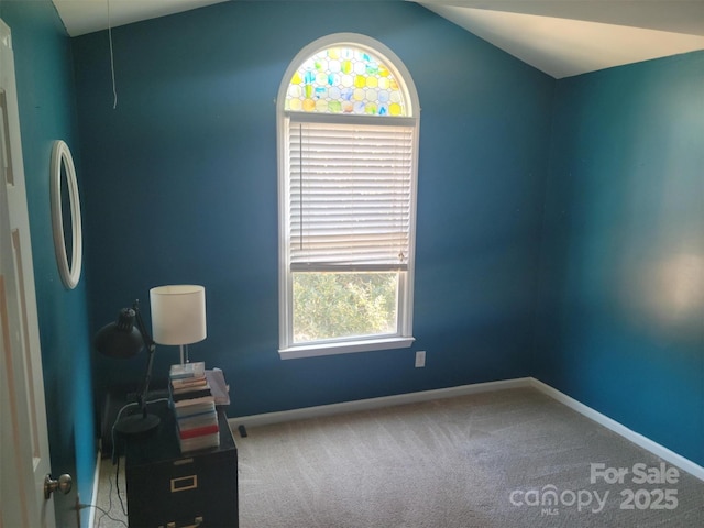 interior space with lofted ceiling and baseboards