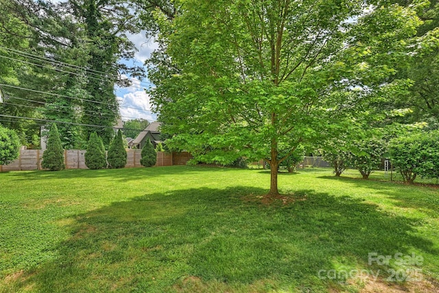 7135 Folger Dr, Charlotte, NC 28270 - view of yard