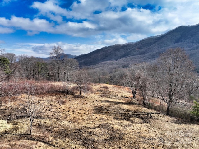 view of mountain feature