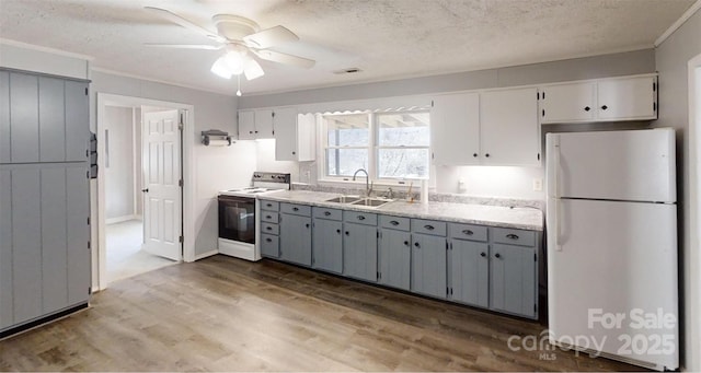 kitchen featuring a sink, electric stove, light countertops, gray cabinets, and freestanding refrigerator